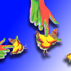 Chicken Pokes