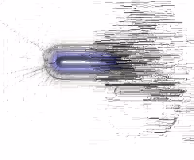 Item #44463940885722685588773399586151923865743850503519844274350657403808942915585 Media