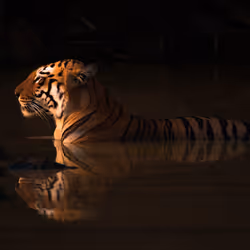 95133208909009756049449667206279702741709602474386148619312528433351258800132