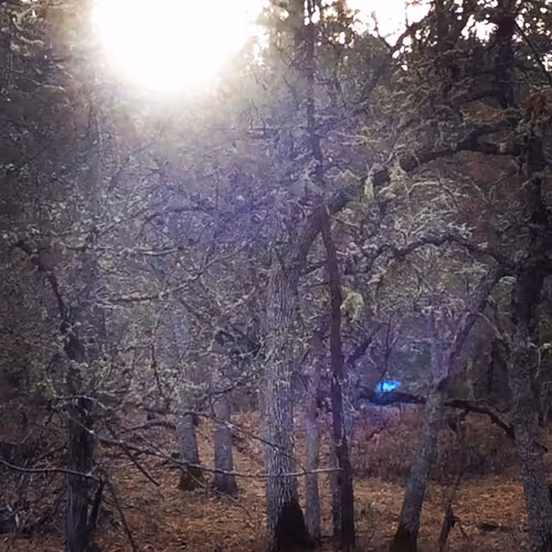 Item #100691695314863882352089843926722576451840846247735070965464115021666070822913 Media