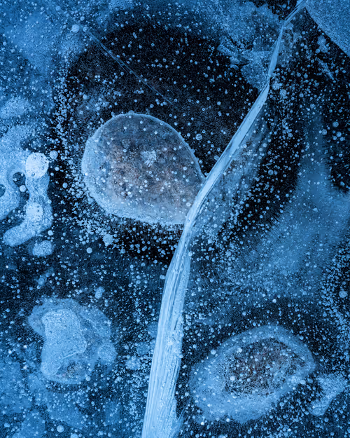 Item #92025450797269199699519638407999947828010124563072321716364901906747165245441 Media