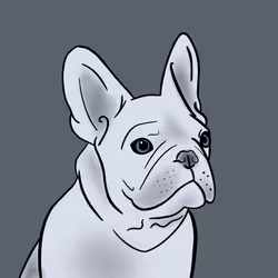 13429478788879462509724115288282259083069984880323738098495124723656661401601