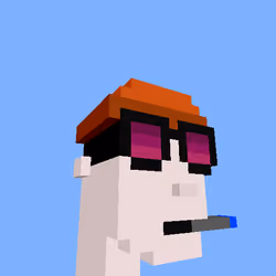 PunkVoxels #8338