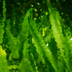 Crystallize Nature #5