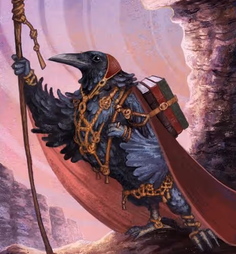 Untitled Collection #258031303