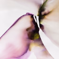 ColourTrip03