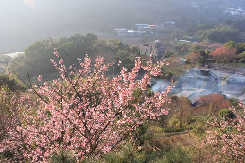 Item #88341892428238457671163359138931352612055705478125639874456303480826314620929 Media