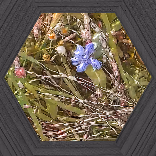 Item #19115886294448247408636390479007434719599239311134408839063466954725976440833 Media