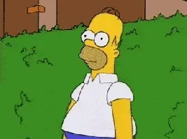 Homer Gif
