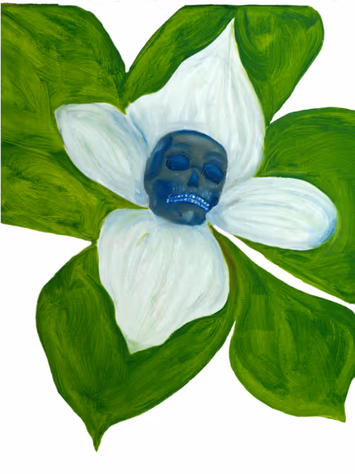 Item #69430838204844007640929930896662390536474801311847444827586886691703597563905 Media