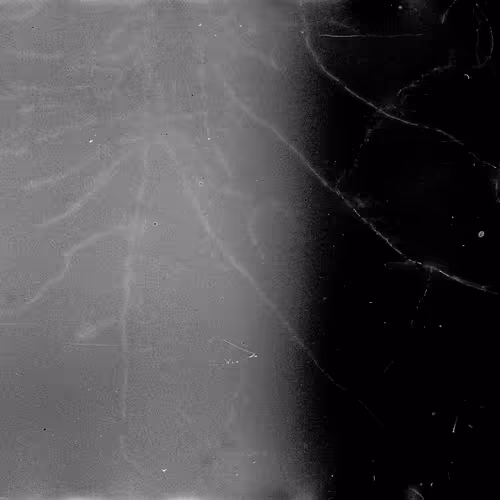 Lifeincelluloid