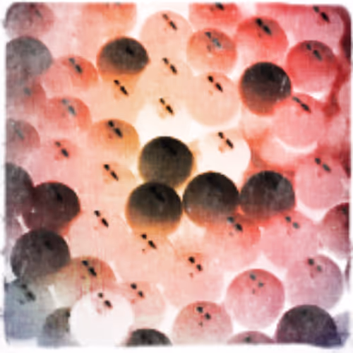 Item #59781095411534189508754005872723373463038721670588469688932600082462360469505 Media