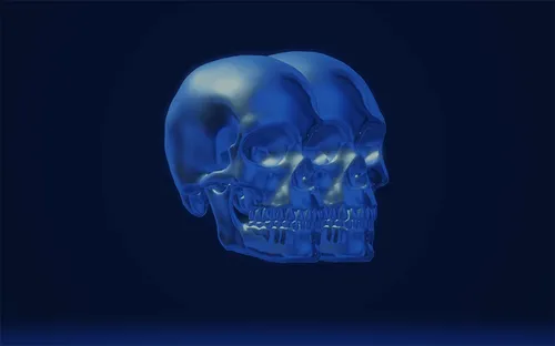 Item #23092074057200007640724092380100474493501782521467816833551576114219999821825 Media