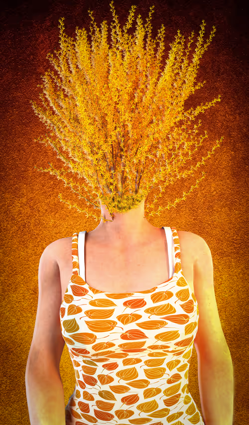 Item #28862623498087260142719145589232710198550905928406605508069949710721989214209 Media