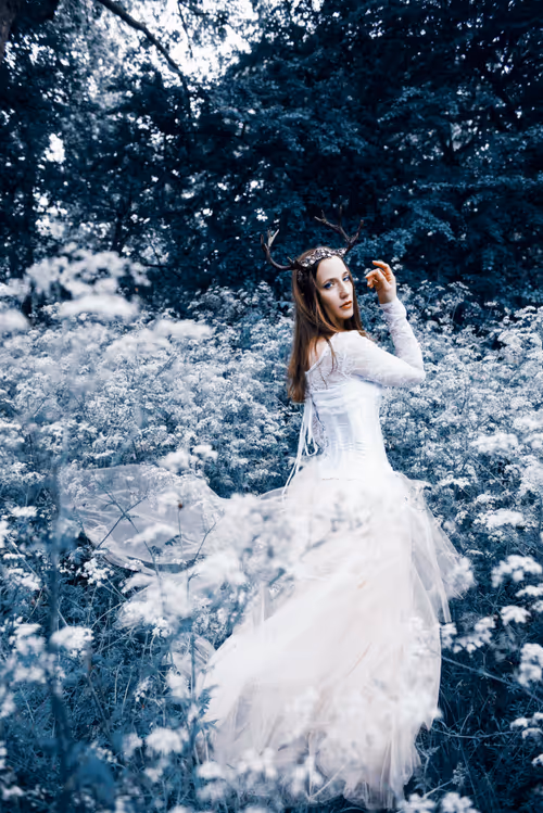 Item #3100420688180883117871293357647257873572712937557723132545680336473900974081 Media