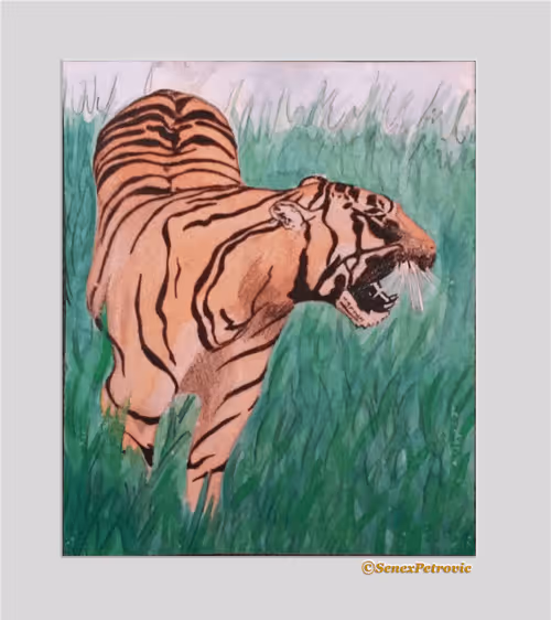 Item #81703717885701679420244426985503748541742411620896309859703145899098388824065 Media