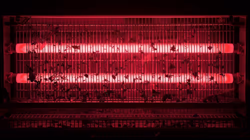 Item #16101337722085282298689115621610294664144615347996772178843194570368369033226 Media