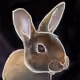 104905364449488143880305478590566007388161883912197143323713383383544516050945