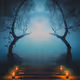 Tree Portal