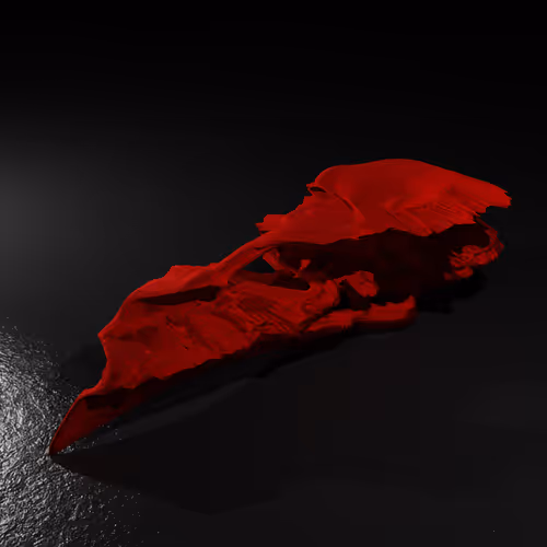 Item #20250001323464517401306315509532802406644919304029953922967480188520405925889 Media