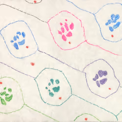 Footprint