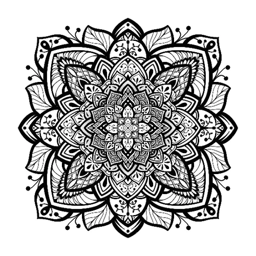 Moving Monochrome Mandalas