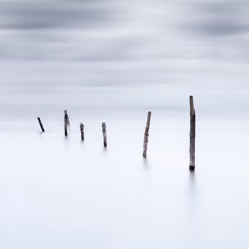 Item #53325246992838792859275335759448641474179368626914689986754702953373451157505 Media