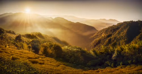 Item #94729080485503513708329965317332491879903775520225674536844109495106931785729 Media