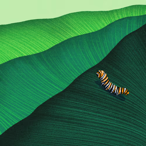 22595162815532753526113839877592438025422193508415084898168917320409158778881