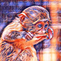 Mushroom Monke