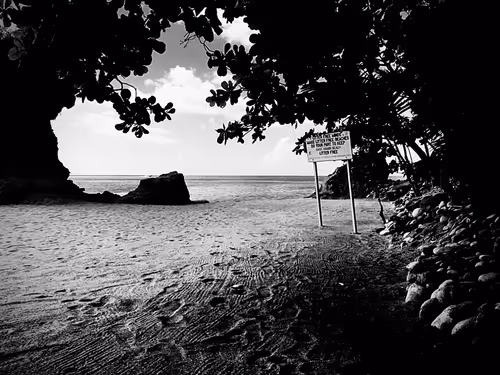 Item #19841423673673061120678522492980359232702795421164906781459419148199300956161 Media