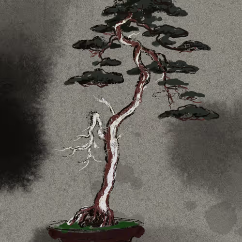 Bunjin Juniper Bonsai Tree - Sketch - Digital Art