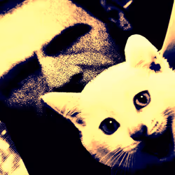 4747115153065902387790593868107453782499677024781155622119189991700939407361