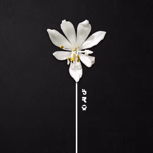 Primary Nature Minimal Collection