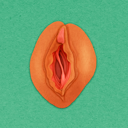 Item #83469337007199017734157032909695619947256388016886346874491258705883426717697 Media