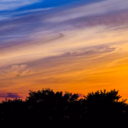 The Brush Strokes of Seasonal Transition