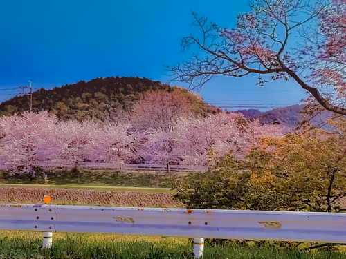 Item #26309083901545567454709889211670292098627789932924015051489478918493494575109 Media