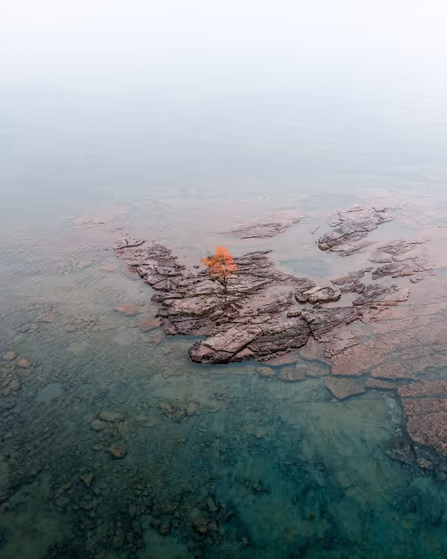 Item #100600280271040798317723628260513137156606623100883316454227272246414012317697 Media