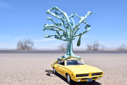 Item #4037616324694542329304373022523620429974010052352305134780993871472429629441 Media