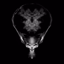 Alien Embryo - 165 of 2000