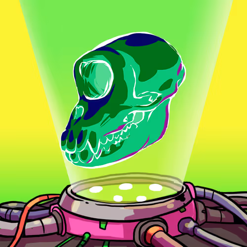 Item #24427015361502395679383015096798352629317293472422721584968238915056192978945 Media