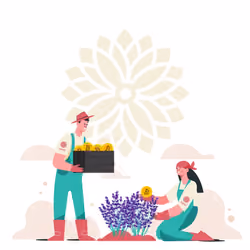 Cultivation of Crypto