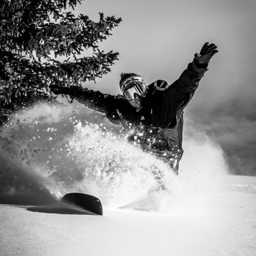 POW shred #1