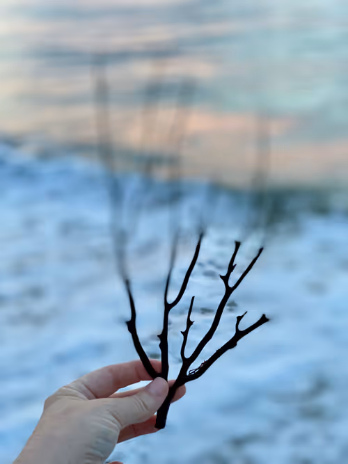 Item #113878984916961174745364683224813624394039454601002665146284580027551059017729 Media