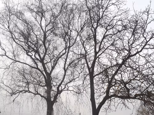 Item #13665938074563914331498291329920780757136253607588816979915017097992204189697 Media