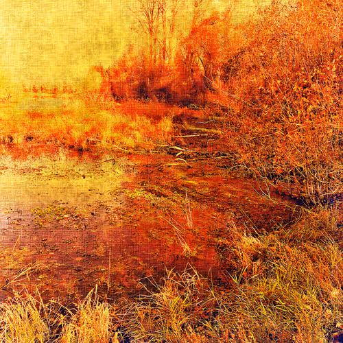 Item #59781095411534189508754005872723373463038721670588469688932600024188244197377 Media