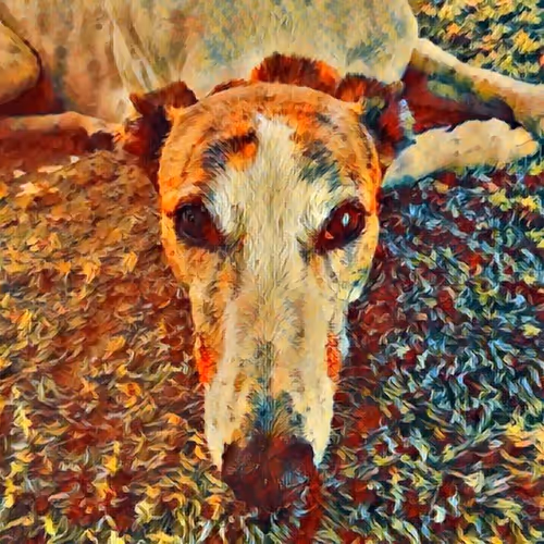 113233535435930126246803406212525192330824104616936385021501681217705200320513