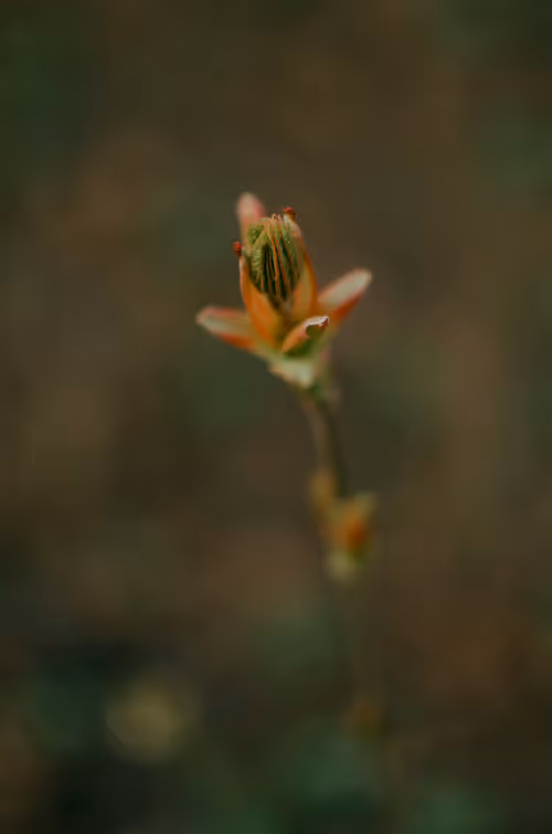 Item #89749655781633695214918973850275472722969414754438239918620403761146127974401 Media