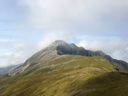 Item #106130176525195936994103089796487378382193046811569602832776154083601261002753 Media