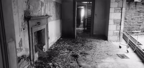 Item #13473500973687785898796463285955460631407349614781281766798596517901994295297 Media